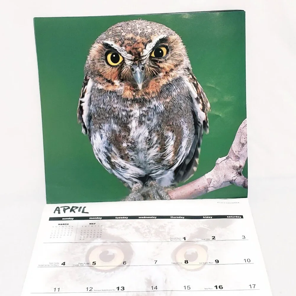 Owls Birds Calendar 1999 Halfmoon Press The Time Factory 16 Months